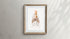 Vintage Squid Print Wall Art